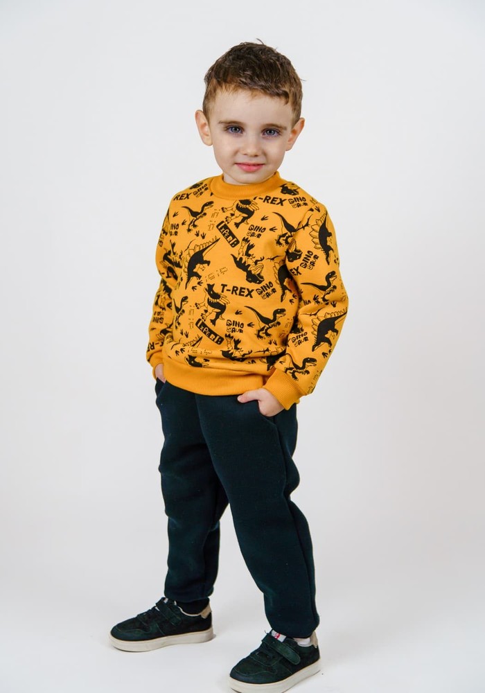 Свитшот для мальчика теплая трехнитка с начесом 00000489, 98-104 см, 3-4 года