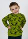 Свитшот для мальчика теплая трехнитка с начесом 00000490, 98-104 см, 3-4 года