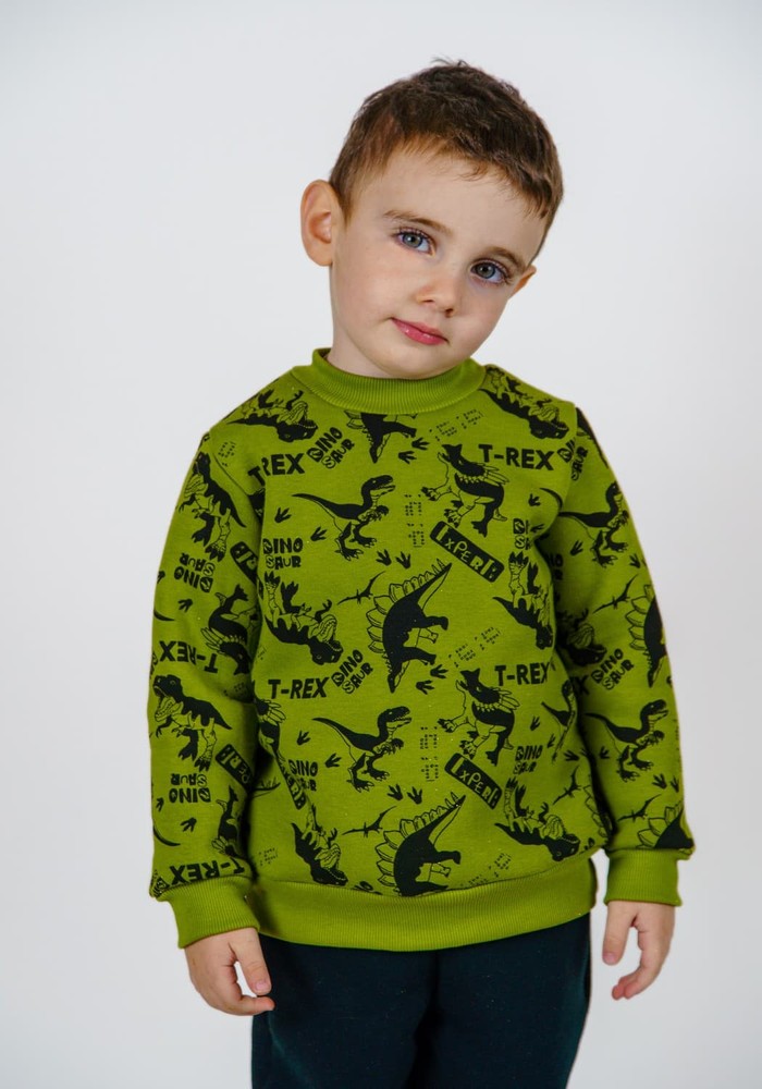 Свитшот для мальчика теплая трехнитка с начесом 00000490, 122-128 см, 6-7 лет