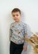 Світшот для хлопчика з начосом 00001955, 98-104 см, 3-4 роки