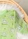 Комплект для новонародженого повзунки, сорочка, чепчик 00002013, 50-56 см, 0-1 місяць