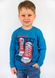 Лонгслів футболка з довгим рукавом для хлопчика 00000133, 110-116 см, 5 років