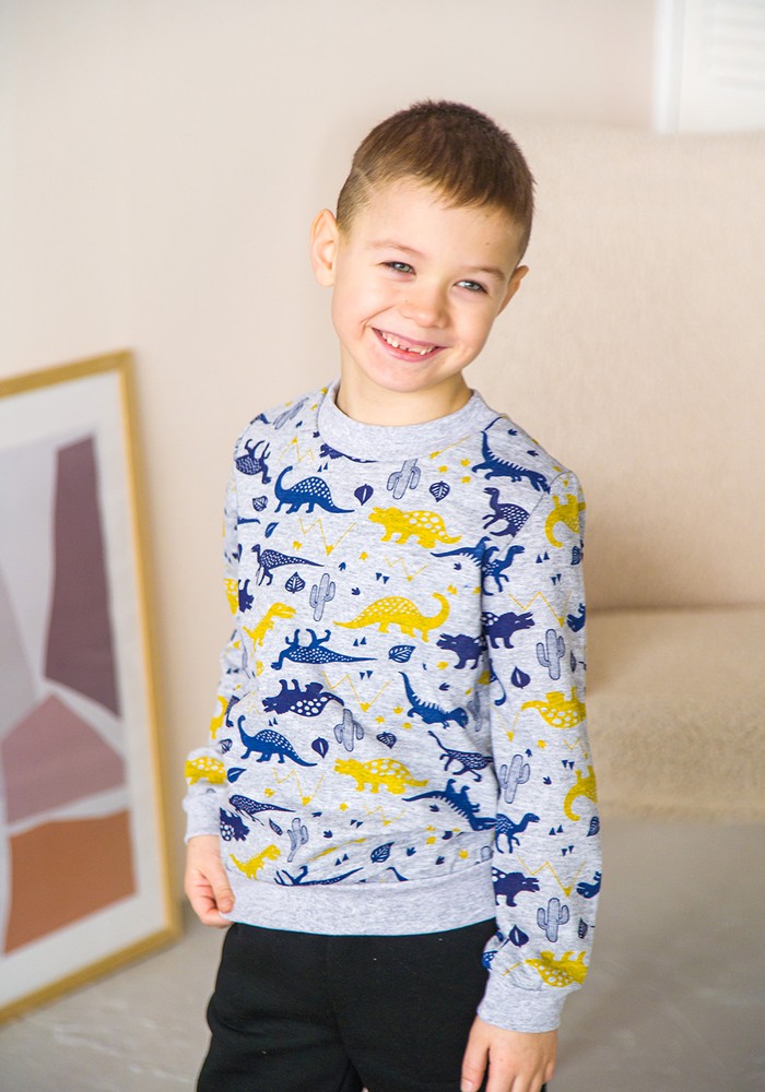Свитшот для мальчика с начесом с динозаврами 00002582, 86-92 см, 2 года