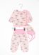 Комплект для новонародженої дівчинки сорочка, повзунки і чепчик з начосом 00001632, 50-56 см, 0-1 місяць