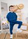 Костюм дитячий спортивний худі і штані синій 00001619, 116