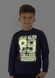Свитшот для мальчика со светящимся принтом 00000269, 98-104 см, 3-4 года