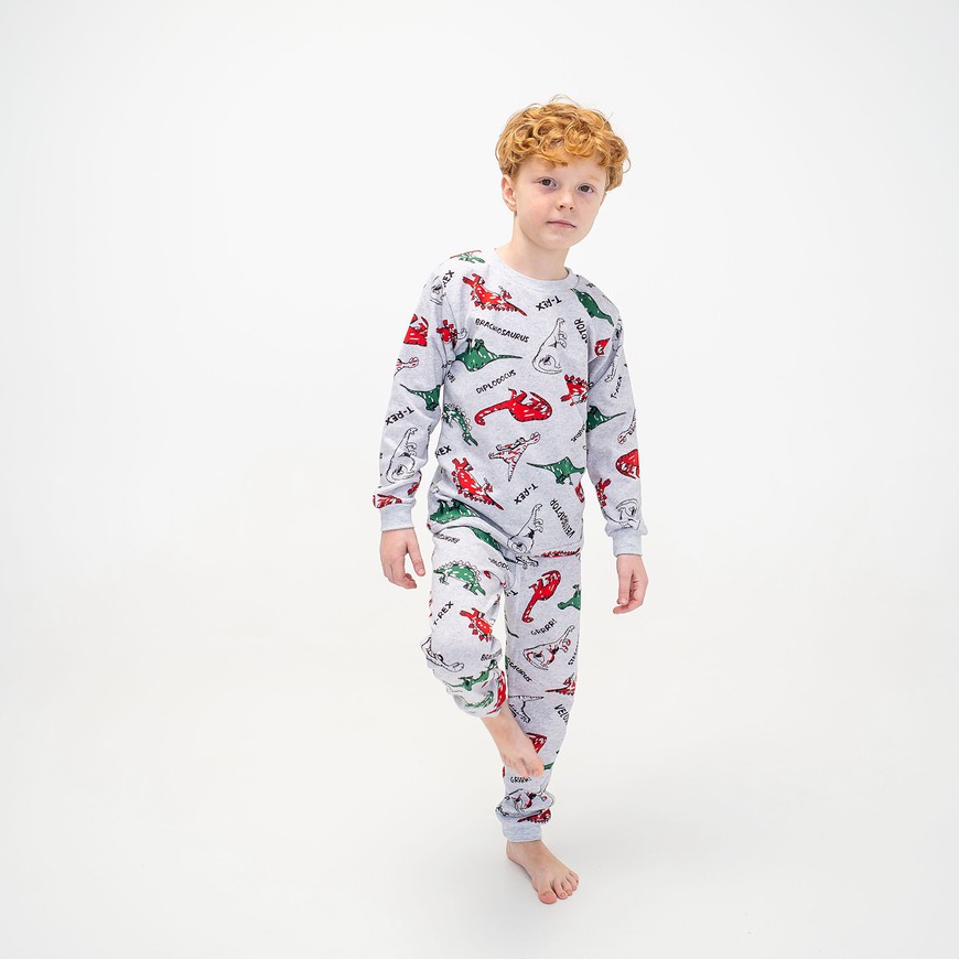 Пижама для мальчика теплая с начесом 00003252, 110-116 см, 5 лет