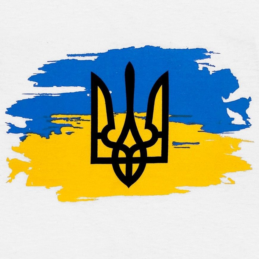 Набір із 3 футболок дитячий з українською патріотичною символікою 00004961, 98-104 см, 3-4 роки