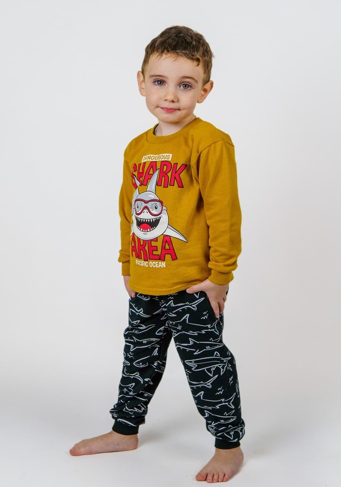 Пижама для мальчика теплая с начесом 00000488, 86-92 см, 2 года