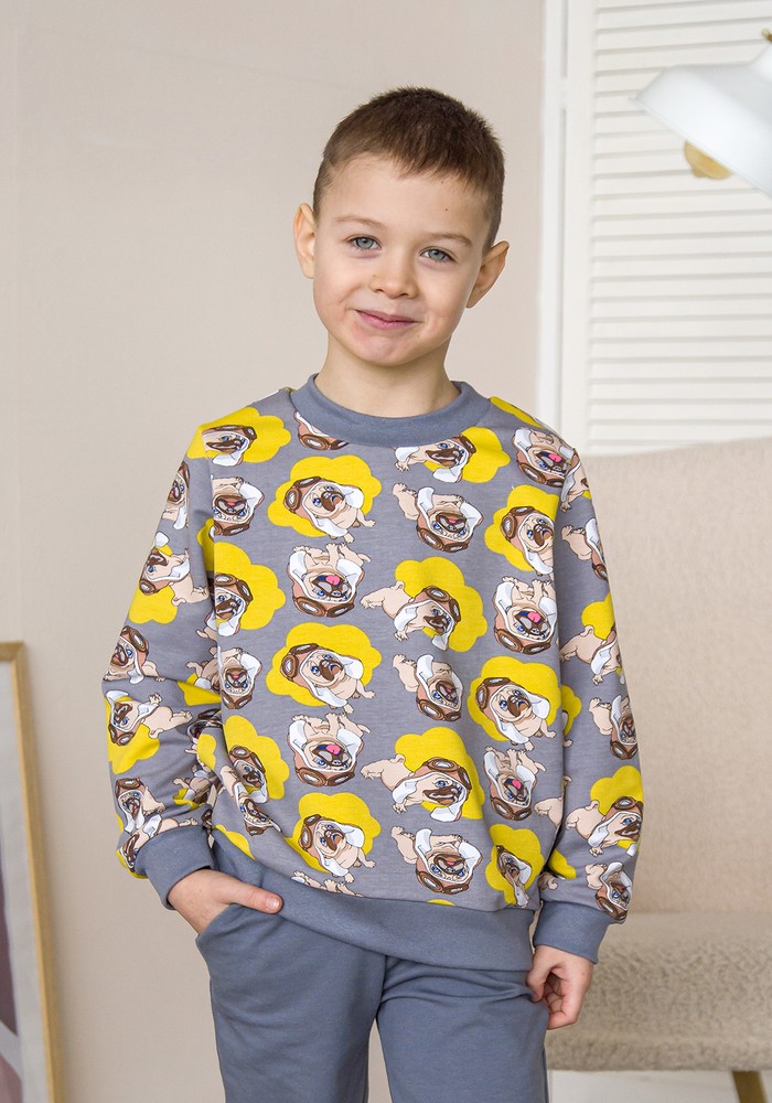 Свитшот для мальчика двунитка хлопковая 00002729, 134-140 см, 8-9 лет