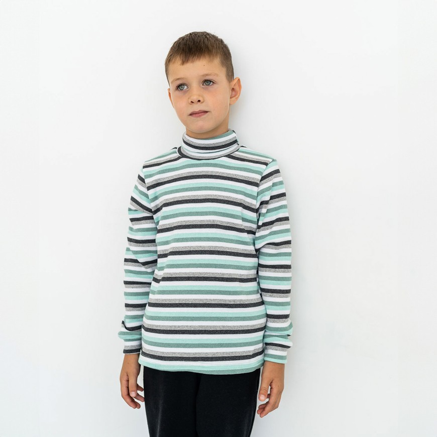 Водолазка для мальчика с начесом полосатая 00001689, 86-92 см, 2 года