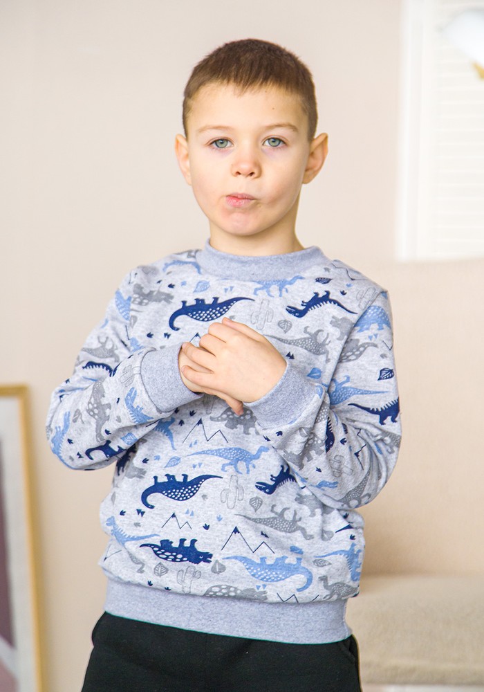 Світшот для хлопчика з начосом 00001761, 98-104 см, 3-4 роки